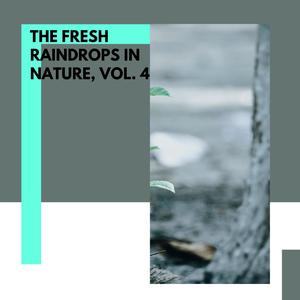 The Fresh Raindrops in Nature, Vol. 4