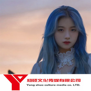 温柔的梦想 (DJ版)