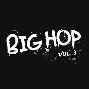 Big Hop, Vol. 3