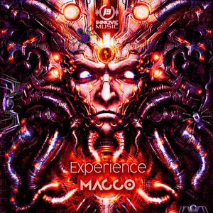 Experience
