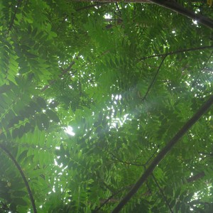 镜子里的光 (Live)