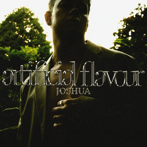 Artificial Flavour (Instrumental)