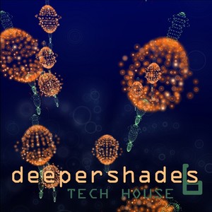 Deeper Shades Tech House 6