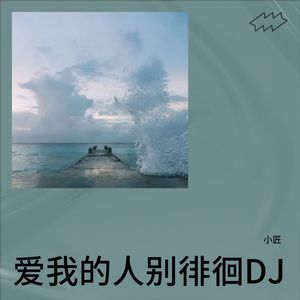 爱我的人别徘徊DJ