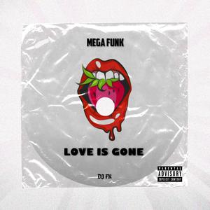 MEGA FUNK LOVE IS GONE (Explicit)