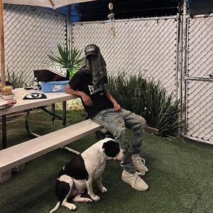 Whole Lotta Gang **** (Explicit)