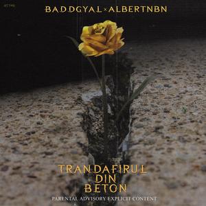 Trandafirul Din Beton (feat. AlbertNbn) [Explicit]