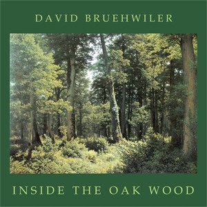 Inside the Oak Wood