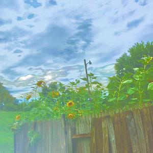 The Bee Keeper (feat. Chubbs Curly)