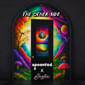 The Other Side (feat. Jaylee)