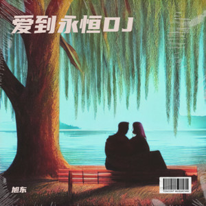 爱到永恒DJ (伴奏)