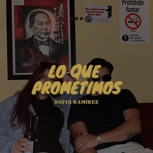 Lo que prometimos