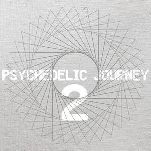 Psychedelic Journey 2