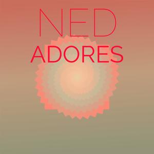 Ned Adores