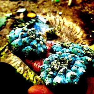 Pictograma (feat. Autoexistente)