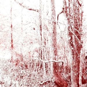 pure ecstasy (Explicit)