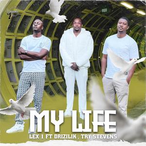 My Life (feat. Drizilik & Try Stevens)