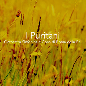 Orchestra Sinfonica E Coro Di Roma Della Rai - I Puritani: Parte Seconda, 1 Parte