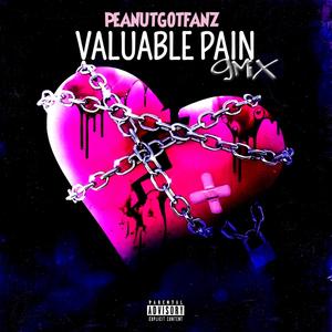 Valuable Pain (Gmix) [Explicit]