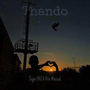 Thando (feat. Pro Musical) [Radio Edit]