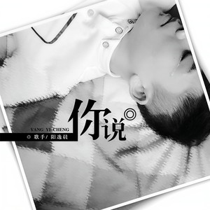 你说封面