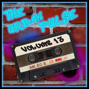 The Urban Pulse,Vol.13 (Explicit)