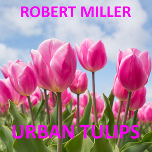Urban Tulips