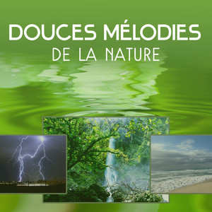 Douces mélodies de la nature - Musique de la forêt, jardin zen, moment de rêve, sons des vagues de l'océan, détente et bien être