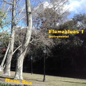 Observando Pajaros (Inst.)