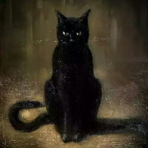 Gato Negro