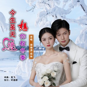 今生虽无缘想你在冬季 (对唱版伴奏)