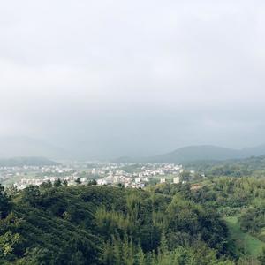 理想三旬