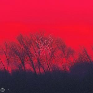 che rumore fa l'amore!