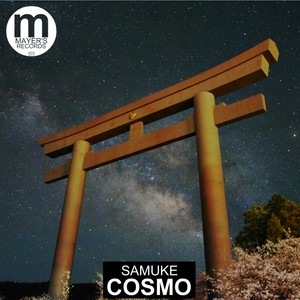 Travle Train (Original Mix)