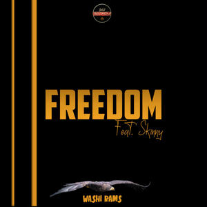 Freedom (feat. Skinny)