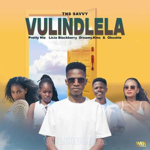 Vulindlela (feat. Pretty Hle, Dreamy.Kins, Licia Blackberry & Okoohle)