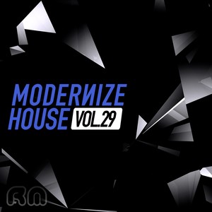 Modernize House, Vol. 29