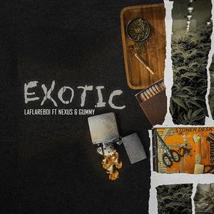 Exotic (feat. Gummy & NEXUS) (Explicit)