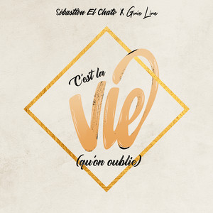 C'est la vie (qu'on oublie)