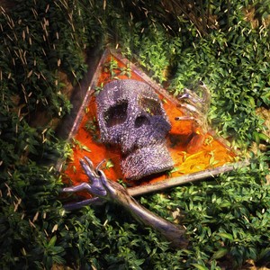 ГЕНОМ (Explicit)