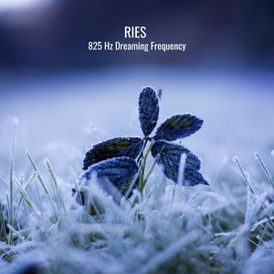 528 Hz Dreaming Frequency