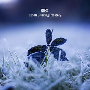 528 Hz REM Sleep