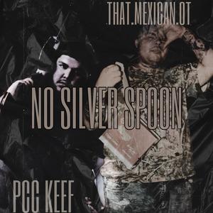 No Silver Spoon (feat. That Mexican OT) (Explicit)
