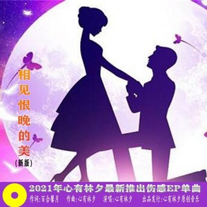 相见恨晚的美 (新版)