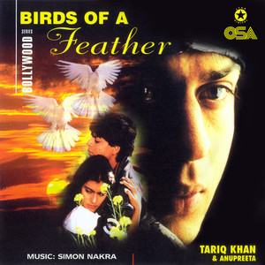 Birds Of A Feather (Bollywood Series)