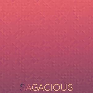 Sagacious