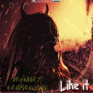 Like it (feat. Kryptsrevenge) (Explicit)
