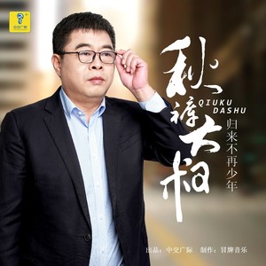 归来不再少年封面