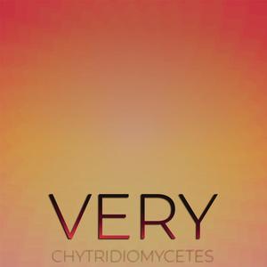 Very Chytridiomycetes