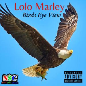 Birds Eye View (Explicit)